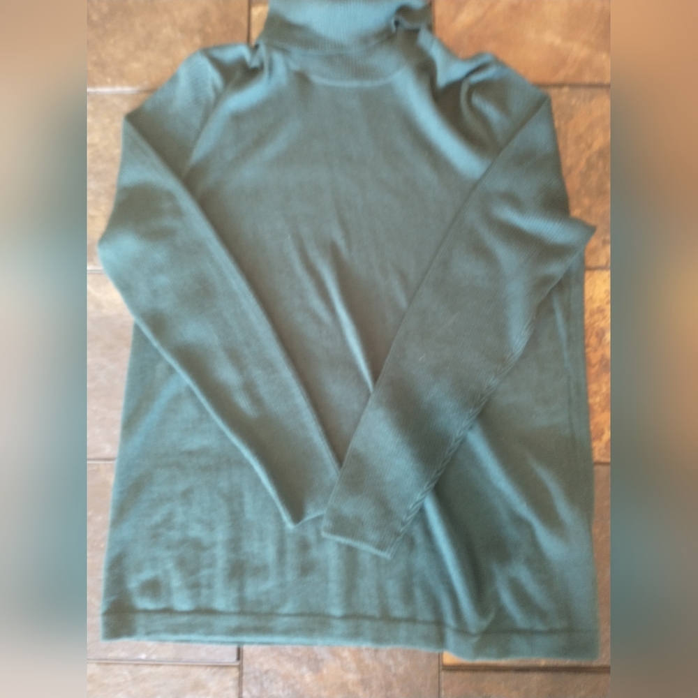 J. Jill Long Sleeve Turtleneck Medium